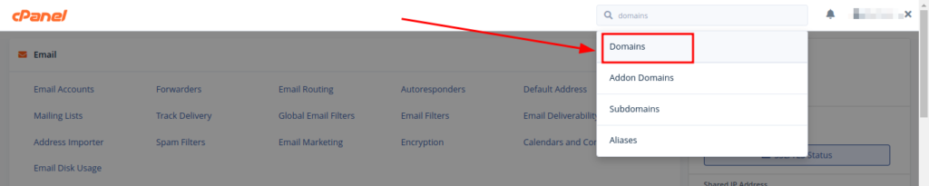 DOmains section on Cpanel