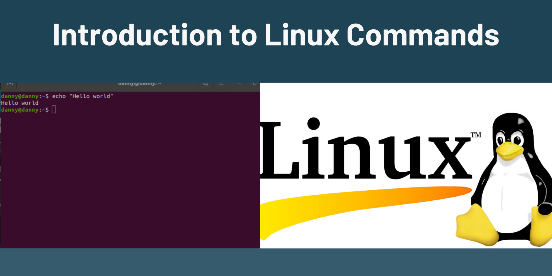 Read more about the article Introduction to Linux Commands