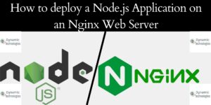 Read more about the article How to deploy a Node.js Application on an Nginx Web Server
