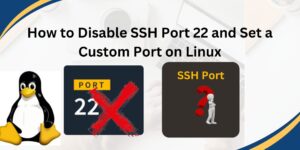 Read more about the article How to Disable SSH Port 22 and Set a Custom Port on Linux